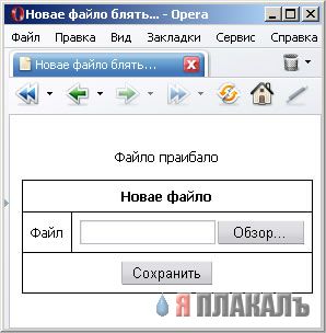 Приколы на МОНИТОРЕ