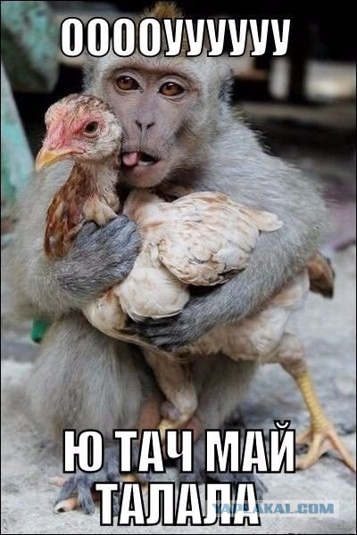 Разные картинки из сети