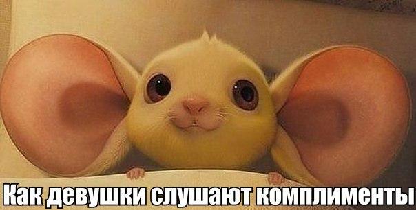 Картинки и демотиваторы