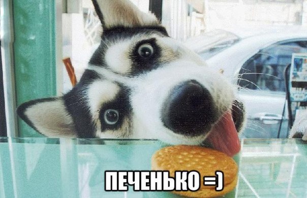 Картинки и демотиваторы