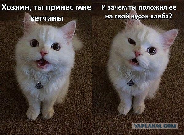 Отовсюду понемногу