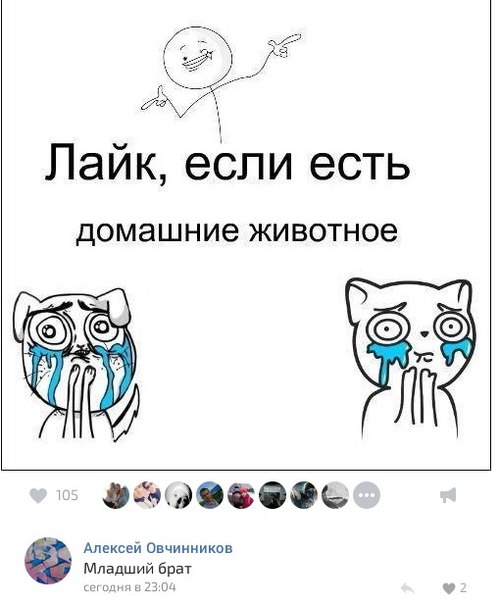 Ужасы и приколы из соцсетей 18+