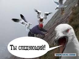 В СИЗО за требование к прокурору не нарушать закон