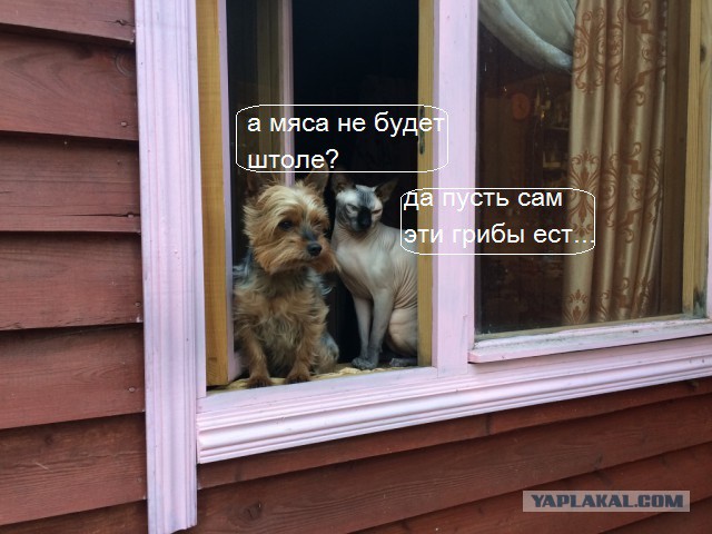 Как я мангал запилил