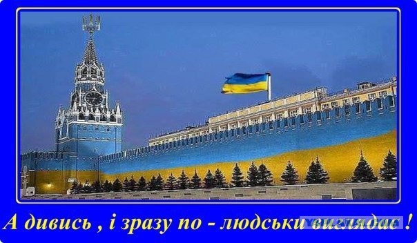 Подборка смешных картинок с надписями