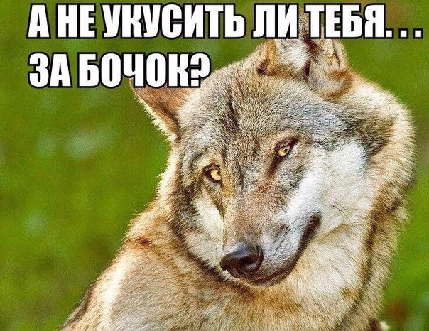 Божьи твари