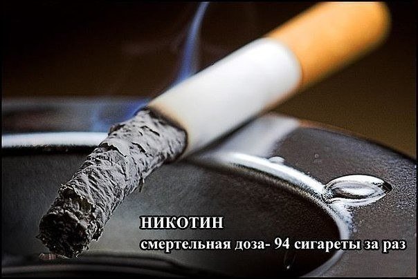 Немного картинок и гифок.