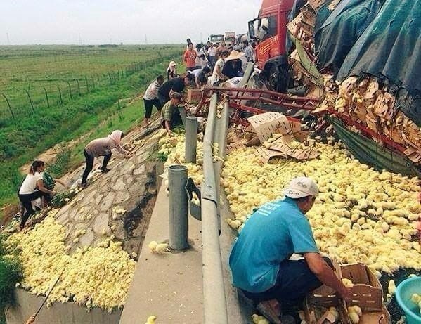 Картинки и гифки, глаза порадовать