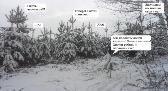 Биатлон. Сезон 2016/2017. Часть 2. Поклюка.