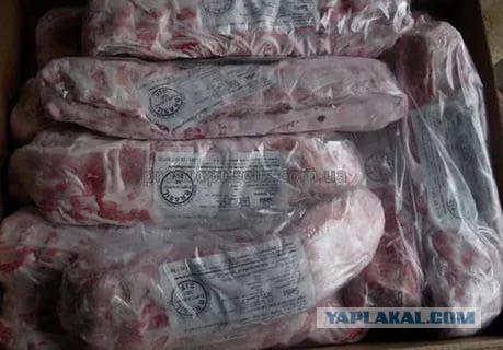Сыровяленная свинина в условиях квартиры, для начинающих.