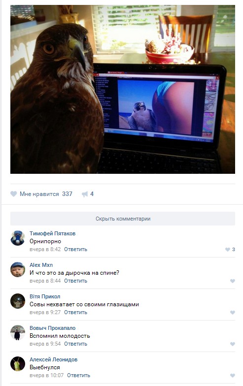 Ужасы и приколы из соцсетей 18+
