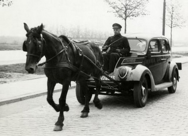 Фотографии к "Нахальному минированию" и "Лехе"