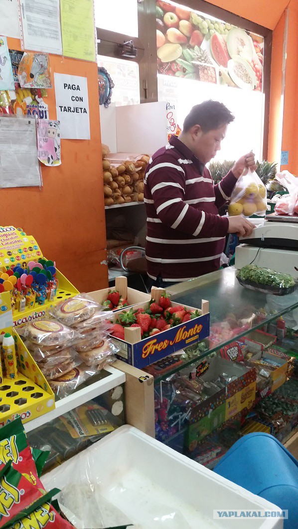 Настоящая Испания изнутри: на местный рынок за продуктами