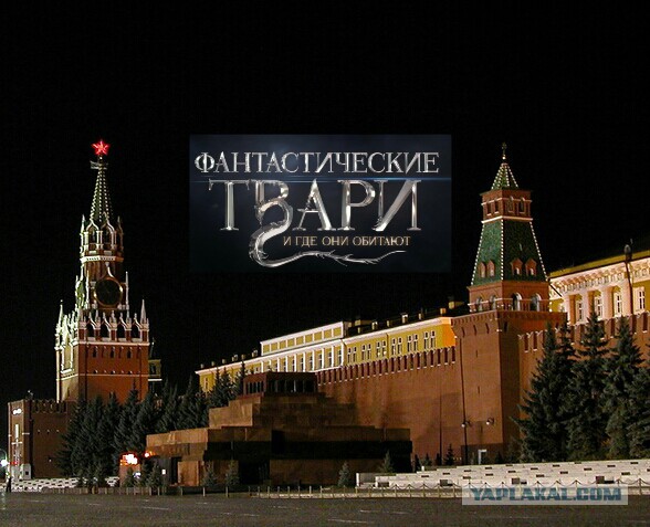 «Мне смешно, когда говорят, что я должна жить в России»