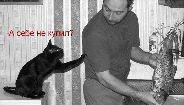 Просто веселые картинки. Иногда абсурдные, а иногда и с черным юмором