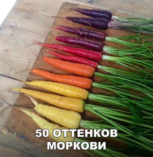 100 картинок для поднятия настроения!