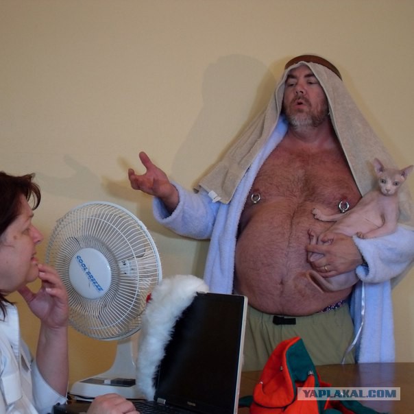 Не, ну это уже ни в какие ворота...