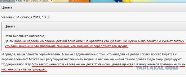 Говорят, Бог смотрит на людей глазами собак