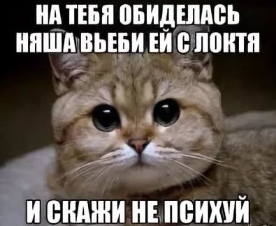 Обращение Поклонской к генпрокурору Чайке