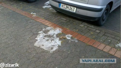 Вещи, которым я не перестаю удивляться в Германии