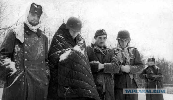 Синоптики предупредили москвичей о феноменальном ультраполярном вторжении