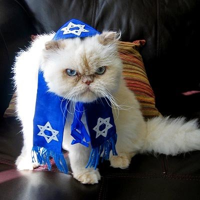 Вы находитесь в Израиле, если....