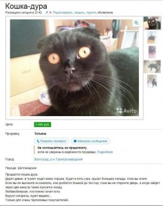 Природа мужика