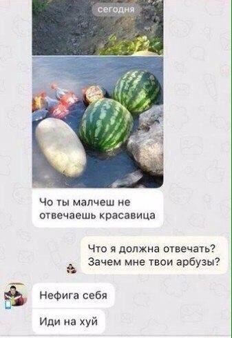 Как знакомятся мигранты