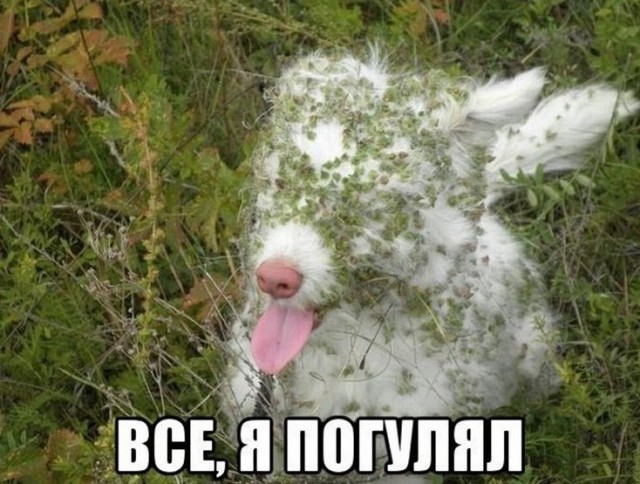 Нагулялись? Ну проходите...