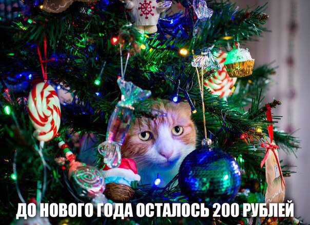 Чудики из социальных сетей 22.12.18