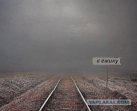 Мужская доля: после сорока лет, в одиночестве