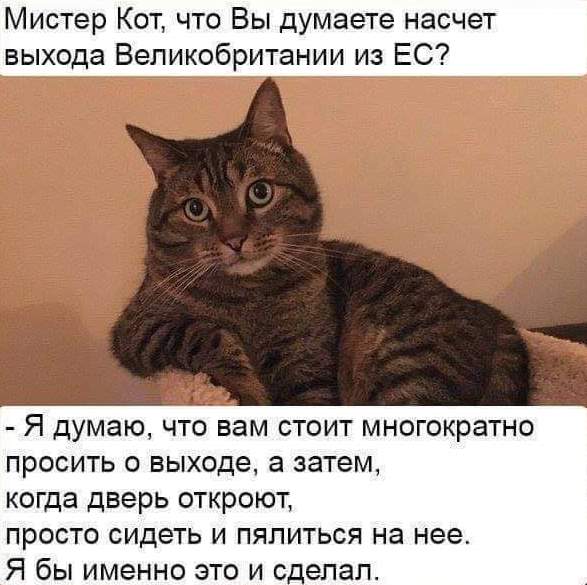 Немного картинок на вечер