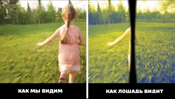 Открытия, которые могли сделать только пользователи интернета