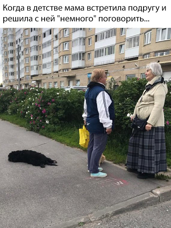 Нестандартный юмор