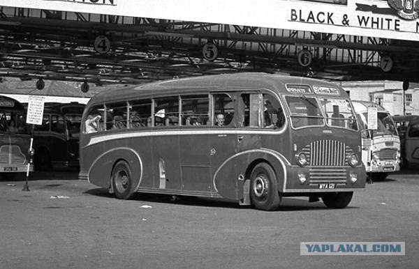 Игра на ЯПе: Угадай АВТО-3