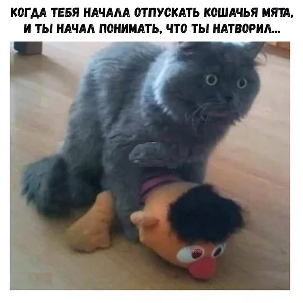 Жена и любовница: исповедь женатого мужчины