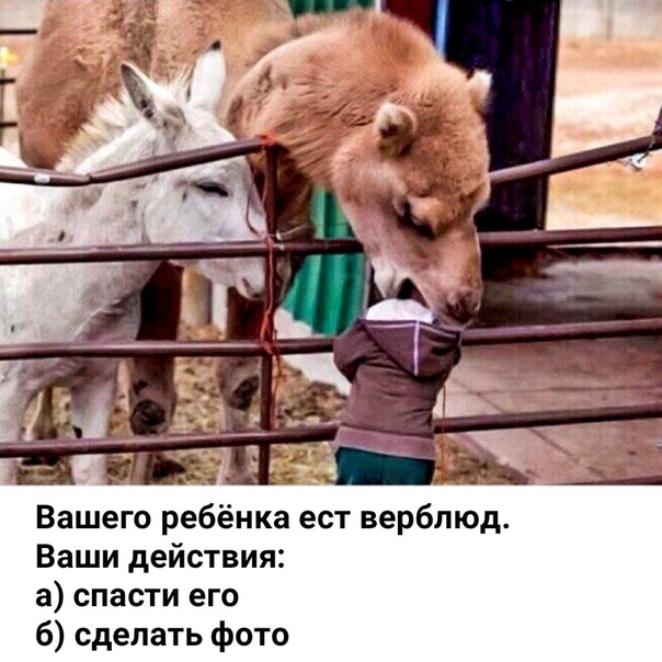 Вот как, так, родители?