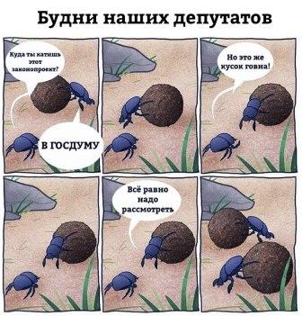 В Госдуме поддержали идею запретить покупателям взвешивать продукты в магазинах