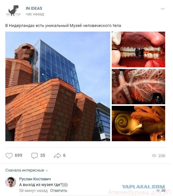 Комментарии к постам в разных группах, которые вызвали улыбку