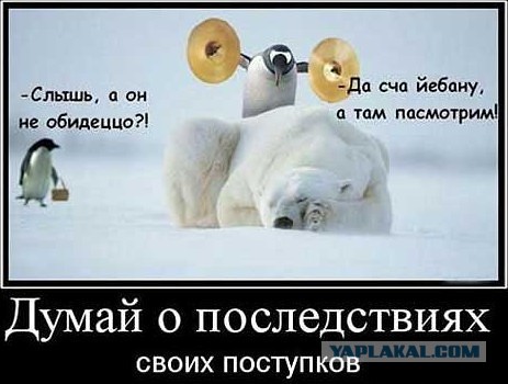 Свердловчанин получил реальный срок за убийство двух котов