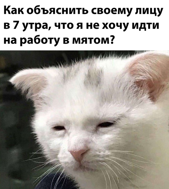Немного картинок для настроения 30.10.20