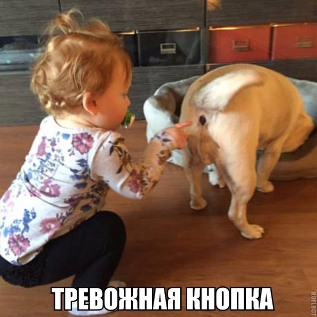 Антифранцузские протесты в Бангладеш — одной из самых населенных мусульманских стран планеты