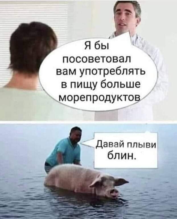 Забавные шутки, картинки и фразы из этих ваших интернетов
