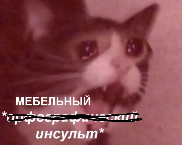 Кухня за три дня за 1500 долларов