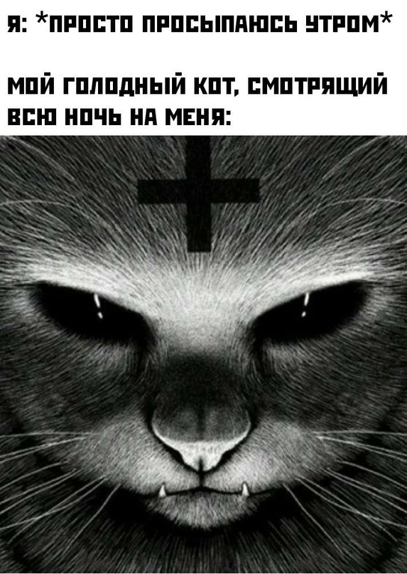 Смешные картинки