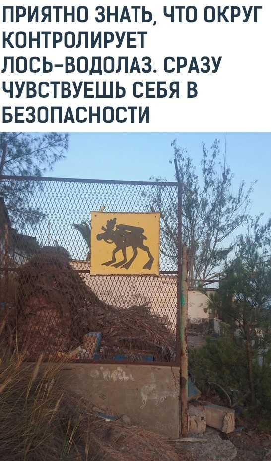 Так себе картинки 24.02.21