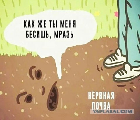 Пятница. И немного слегка пошлых картинок с надписями и без 16+ (19.03)