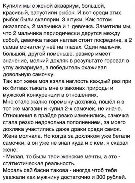 Фотки и картинки: юморные и красивые, забавные и милые 25.03.21