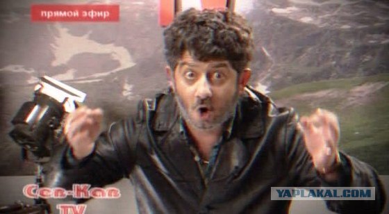 Стоп Хам 53 Баклажан / Nigga