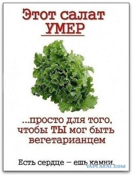 Елка тоже хочет жить